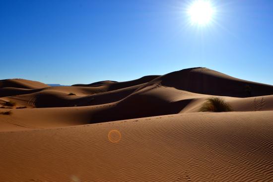 Golden dunes of the Sahara Desert at sunrise